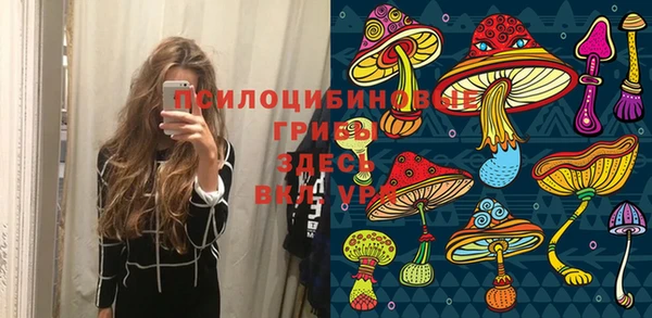 гидропоника Нягань